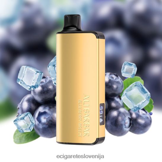 Alibarbar Ingot 20000 vape za enkratno uporabo borovničev vetrič X046DN32 - Elektronska Cigareta Iqos Cena Petrol