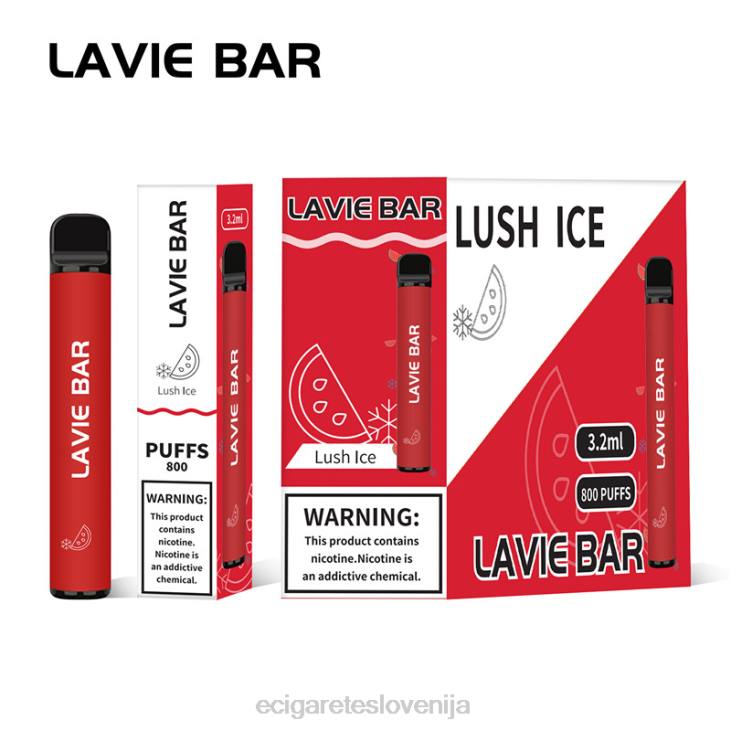 bujni led