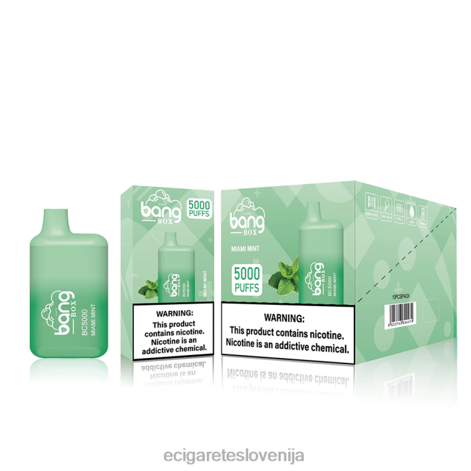 Bang Box bc5000 za enkratno uporabo 4VTDT87 - Elektronska Cigareta Terra
