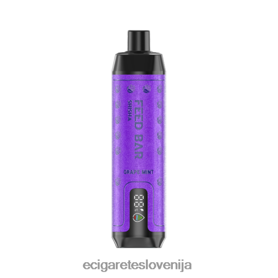 Vapsolo SHISHA vape za enkratno uporabo grozdna meta X046DN100 - Elektronska Cigareta Brez Nikotina