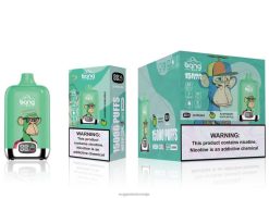 4ZZDX135 - elektronska cigareta za enkratno uporabo malina kislo jabolko Bang Box 15000