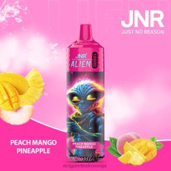 4ZZDX658 - elektronska cigareta nakup breskev mango ananas JNR ALIEN