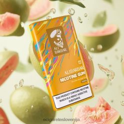 Alibarbar nikotinski gumi guava X046DN82 - Elektronska Cigareta Iqos Cena Petrol